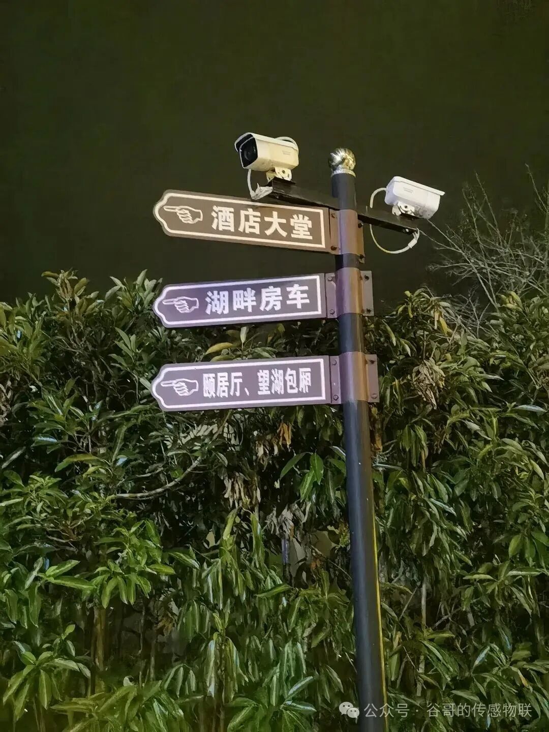 131763014794943807.jpeg 131763014794943807.jpeg