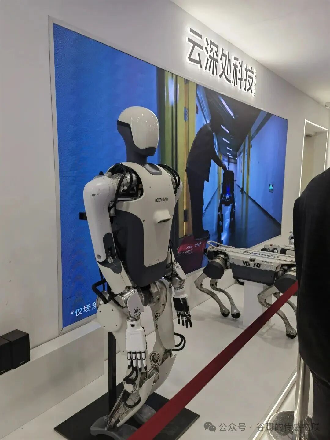 131763015201286064.jpeg 131763015201286064.jpeg